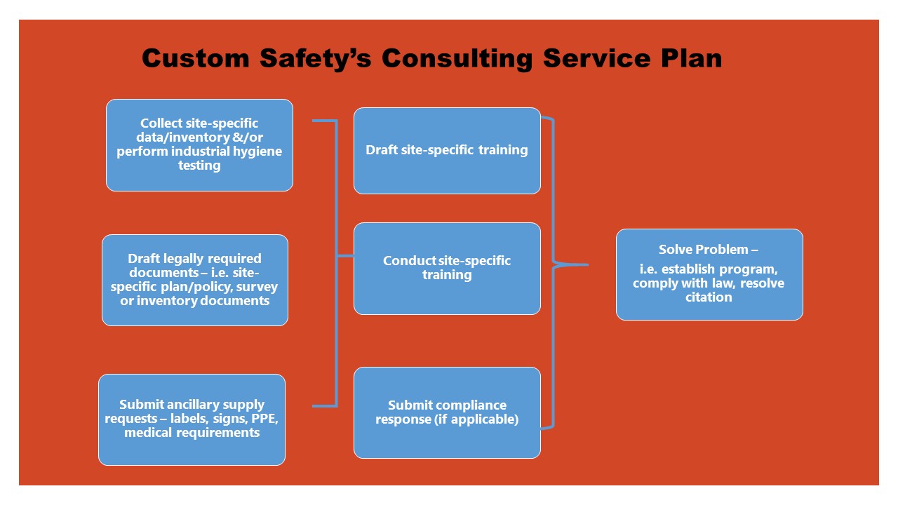 Custom Safety's Consulting Service Plan 2